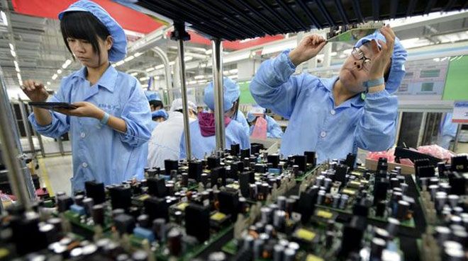 Çarşıbaşı Fare İlaçlama